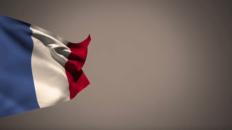 bandera francesa