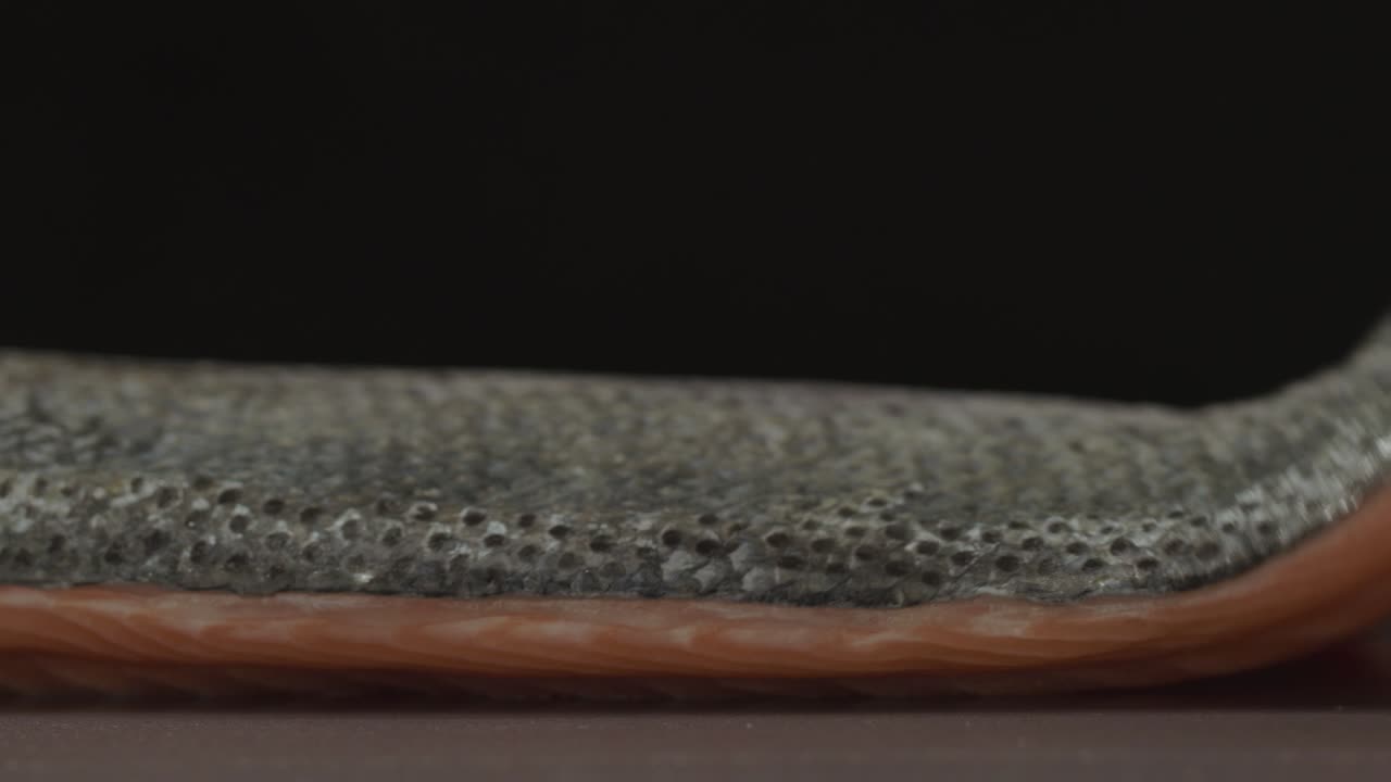 Close up fresh oyster on the dark table