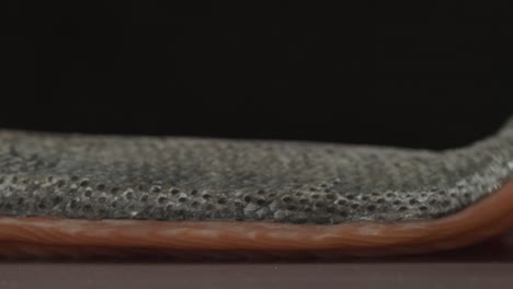 close up fresh oyster on the dark table