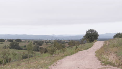 country road through a scenic landscape