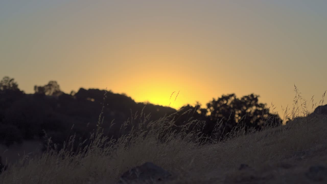 Dry grass swaying gently in the foreground as the sun sets in the distance during golden hour