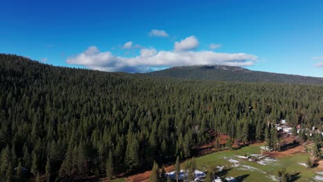 tomada aérea de un avión no tripulado del bosque que rodea el lago tahoe