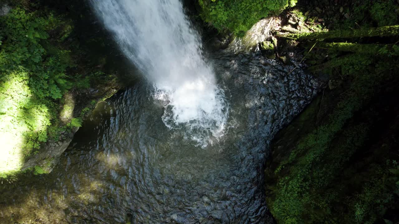 夏に山の森の奥深くに隠された滝の上を空中上昇