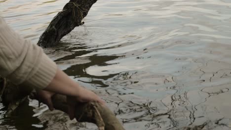 hands clearing a tree branch out of the water