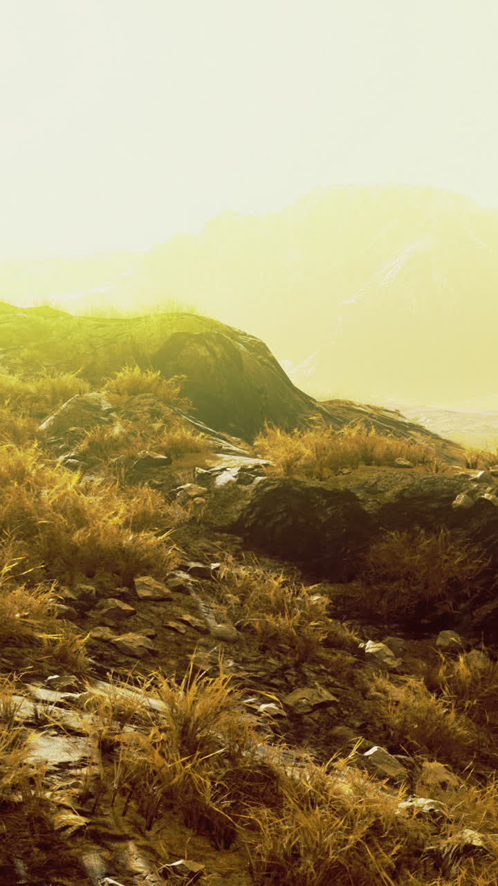 Vibrant golden landscape showcasing rocky terrain and tall grass at sunrise