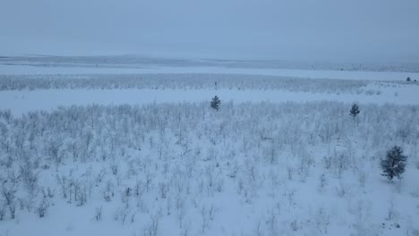 The-open-plains-during-winter-in-Norway,-near-the-Swedish-border