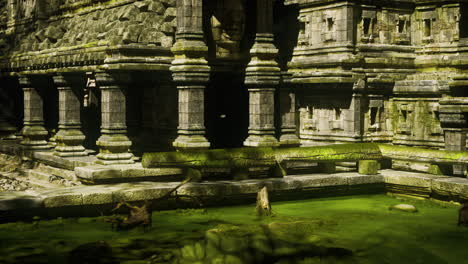 ancient stone temple ruins in a lush jungle