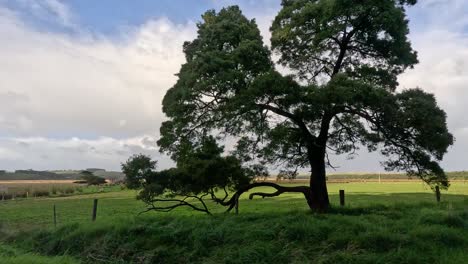 rainbow arches over lush green fields