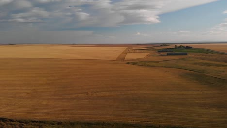 Alto-Vuelo-Aéreo-De-Un-Campo-De-Trigo-Cosechado-En-Alberta,-Canadá