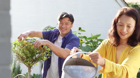 Reife-Asiatische-Frau-Gießt-Pflanzen-Im-Sommergarten-Mit-Einer-Gießkanne,-Während-Ihr-Mann-Sträucher-Mit-Einer-Gartenschere-Beschneidet,-Wobei-Der-Fokus-Auf-Dem-Hintergrund-Liegt-–-Aufnahme-In-Zeitlupe