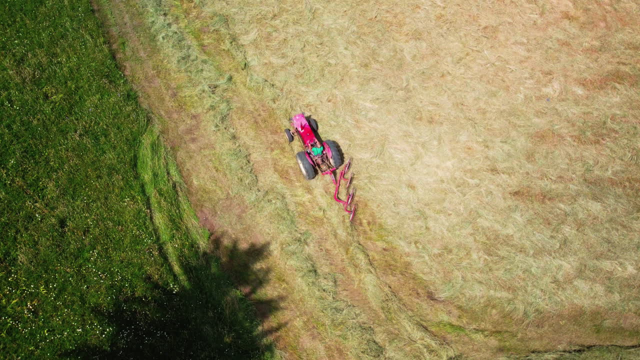 maquinaria agrícola, rastrillo de rueda para girar la hierba seca.