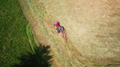 maquinaria agrícola, rastrillo de rueda para girar la hierba seca.