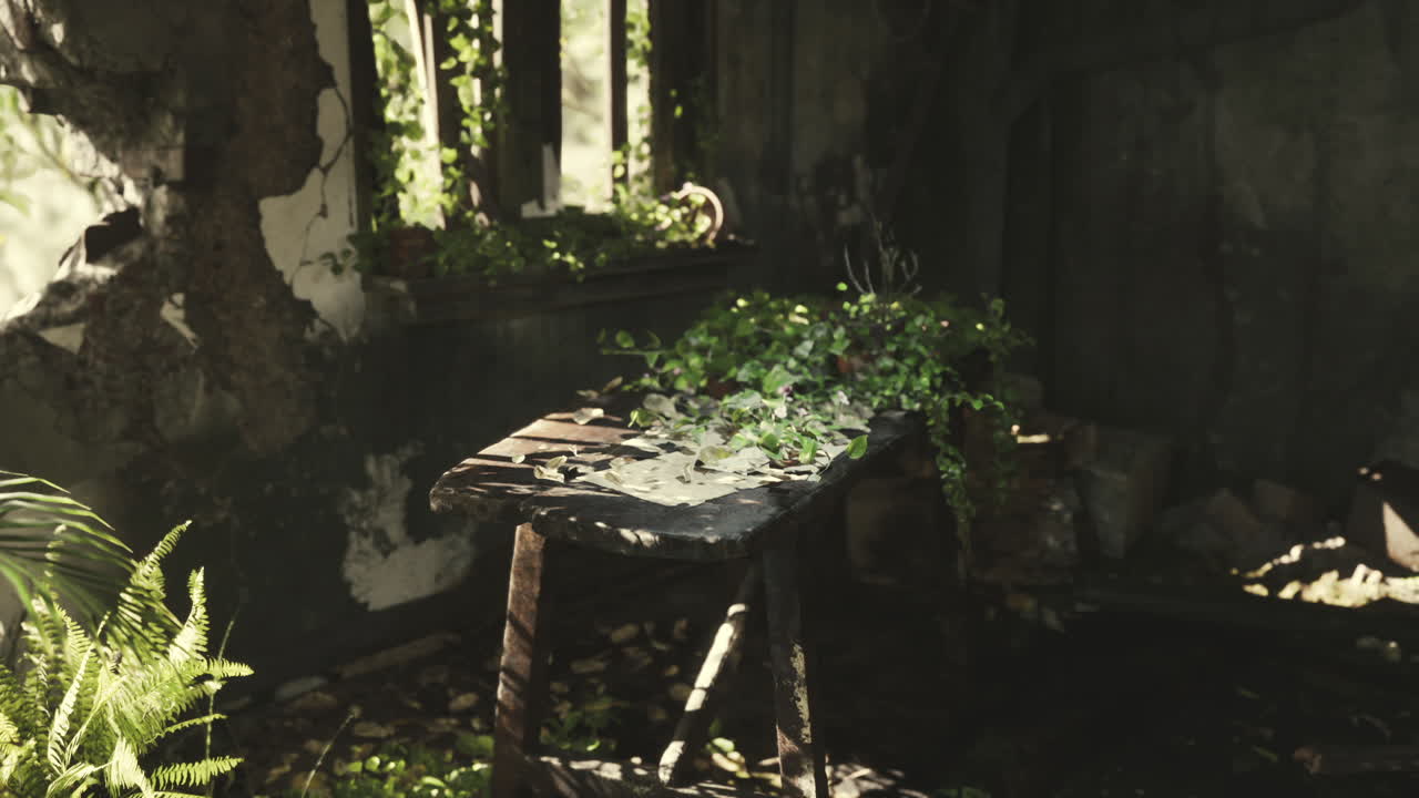 Abandoned room with overgrown vegetation and a weathered table in sunlight