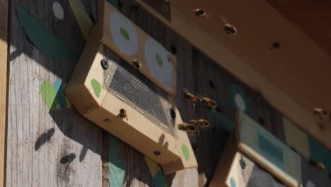 Slow-Motion-Close-up-of-Honey-Bees-Flying-in-Hive