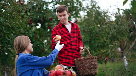 people are happy about the harvest of apples in the garden. young woman and teenage boy looking at fruit they've collected.