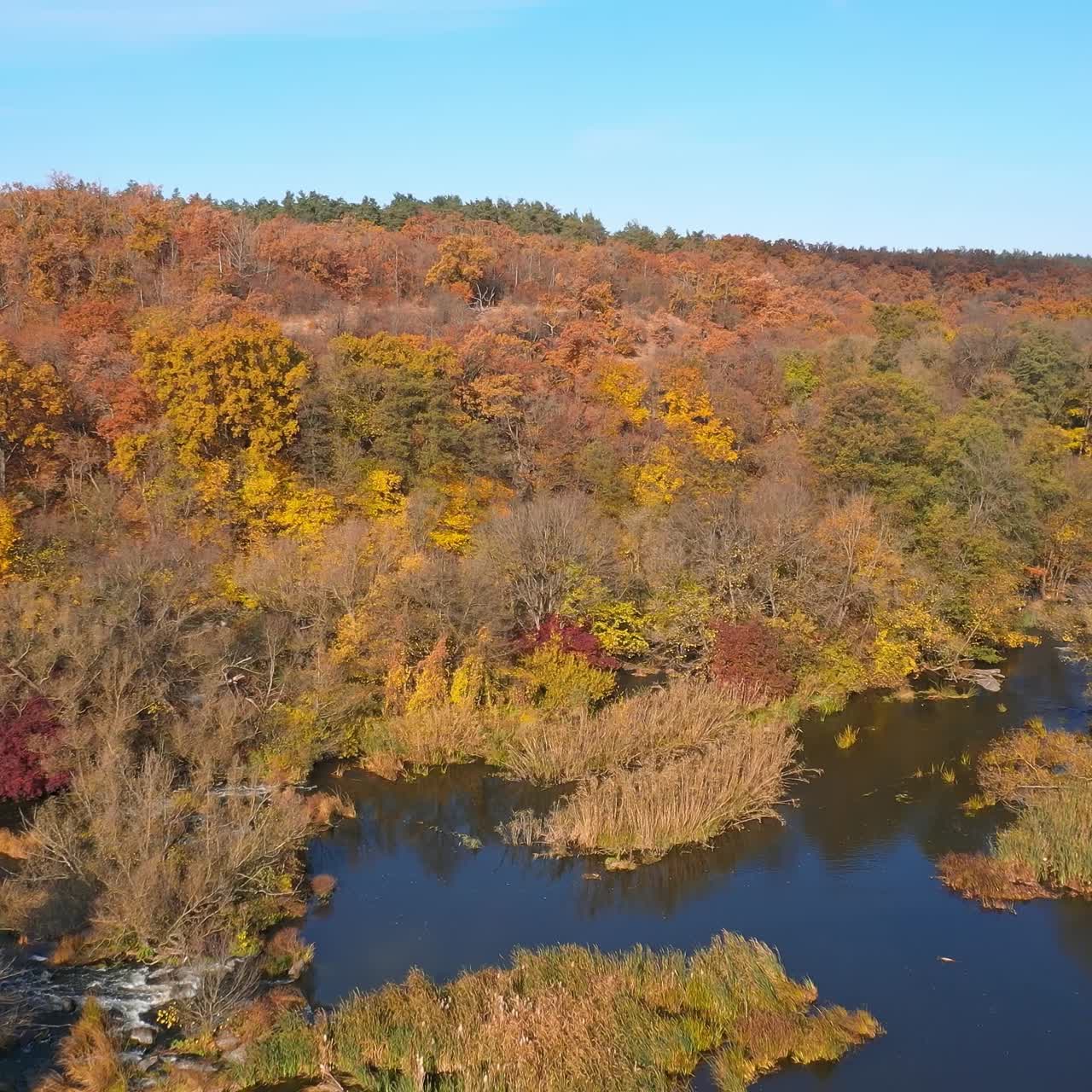 Aerial view of autumn forest with warm colors against a background of a blue sky. Beautiful nature river concept