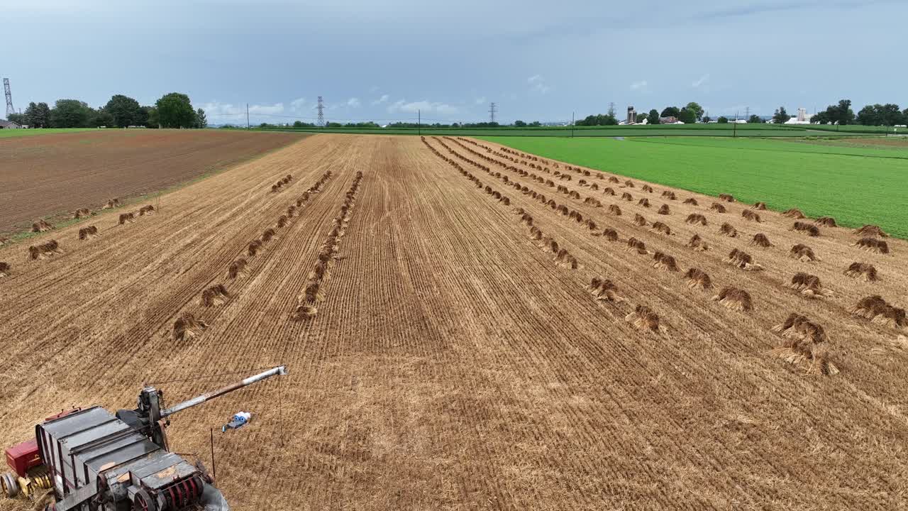 An aerial flyover of a threshing machine and tractor in a wheat field that is being harvested in a historic way