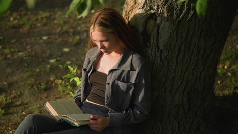 lady sits under tree reading book glancing at background, appearing thoughtful, sunlight softly illuminates her face, shadows move across as tree leaves sway gently in breeze