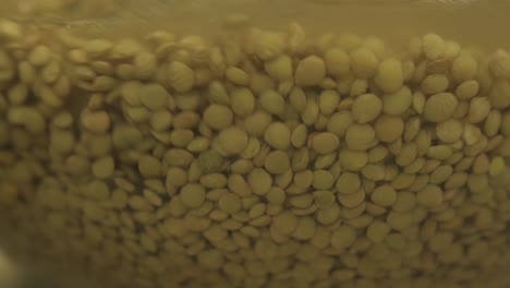 whirling soaked lentils in a glass bowl filled with water - slow motion