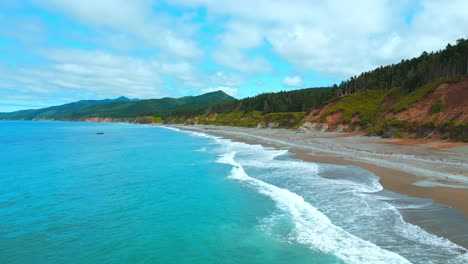 coastal landscape with turquoise water and lush forest