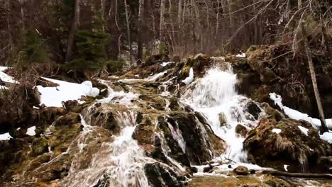 scenic waterfall on a spring creek meandering through the forest in the foothills region of southwestern alberta