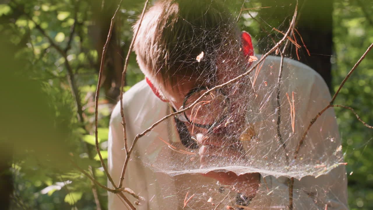 Young biologist in white coat closely observing spider web with magnifying glass in dense forest environment, focusing on fragile cobweb structure illuminated by bright sunlight for ecological