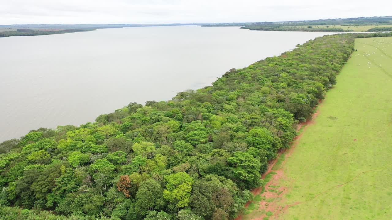 vista de drones del corredor ecológico para vincular fragmentos de selva tropical, corredores de vida ar proyecto, crédito de carbono