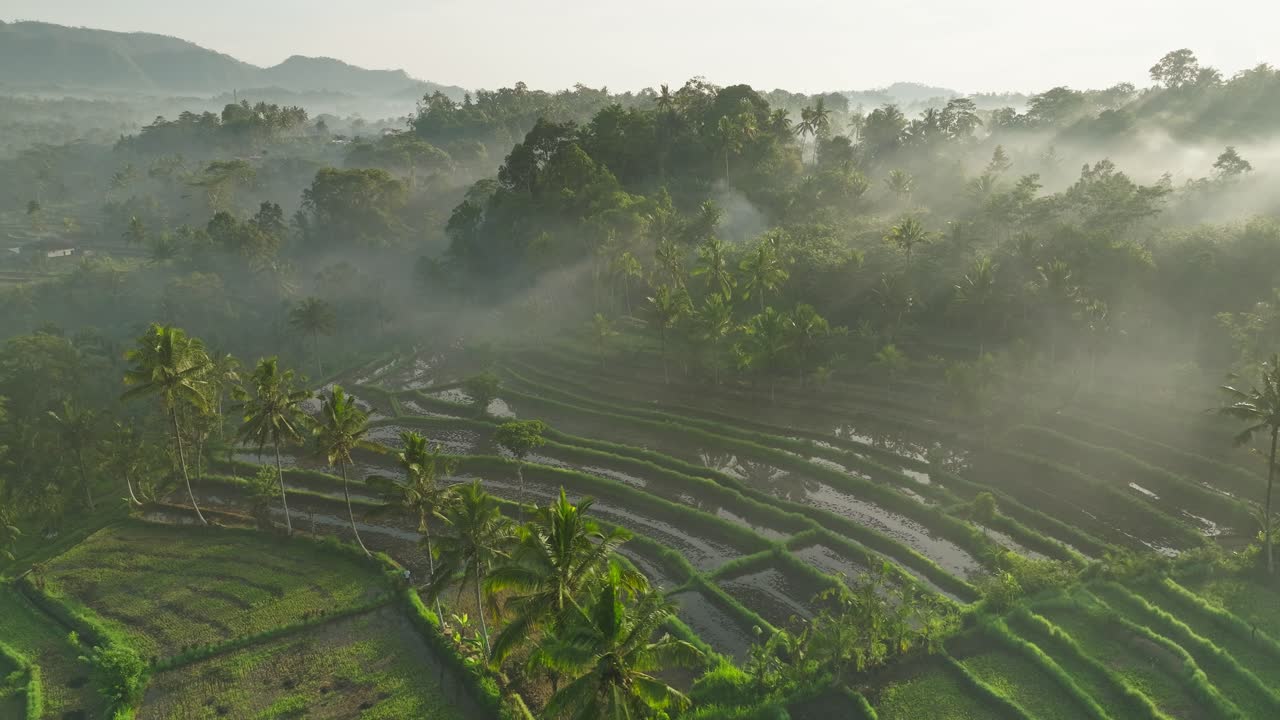 Matahari terbit berkabut di lanskap terasering sawah tropis di Sidemen, Bali, pemandangan udara.
