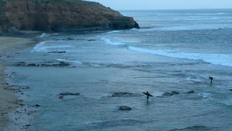 Two-surfers-leaving-the-ocean-at-dusk,-being-greeted-by-dogs-waiting-for-them-at-the-beach