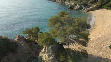 aerial revealing scene beautiful empty beach in spain