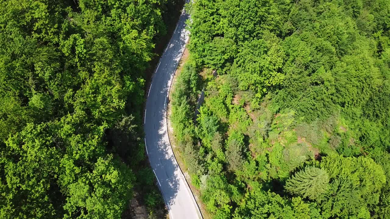 밝은 녹색 숲으로 둘러싸인 산악 도로의 공중 평면도