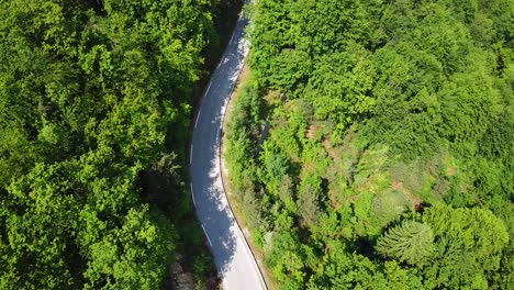 Aerial-top-view-of-a-mountain-road-surrounded-by-a-bright-green-forest