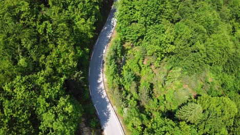 一條由綠色森林包圍的山路的空中頂部景色