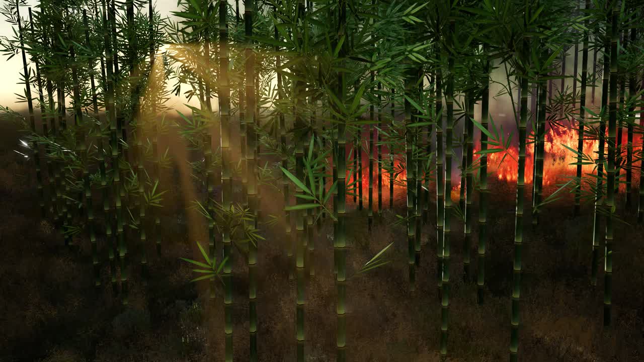 viento soplando en un árbol de bambú en llamas durante un incendio forestal