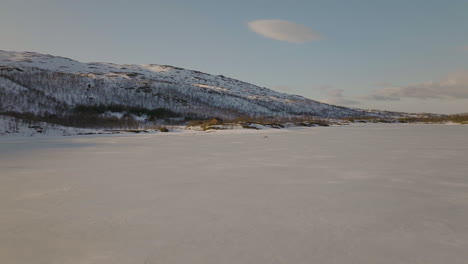 tracking a sea eagle flying over frozen lake