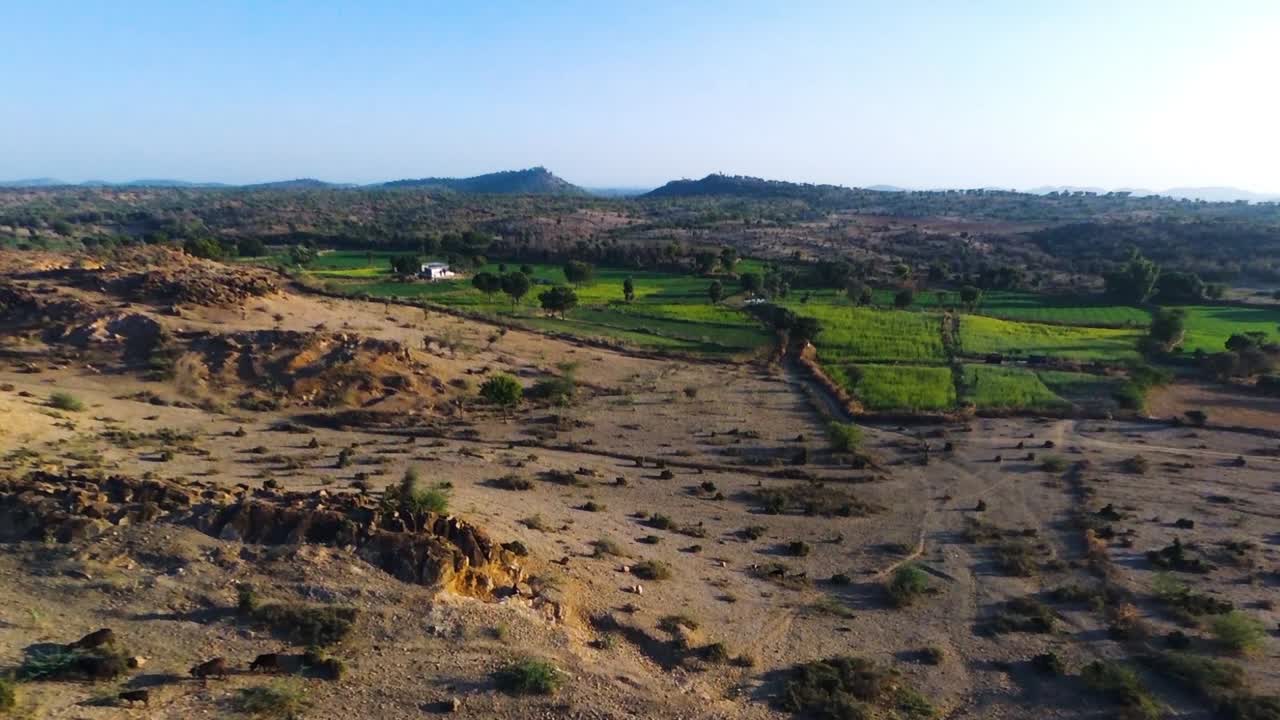 Campi coltivati in un paesaggio desertico, Rajasthan in India
