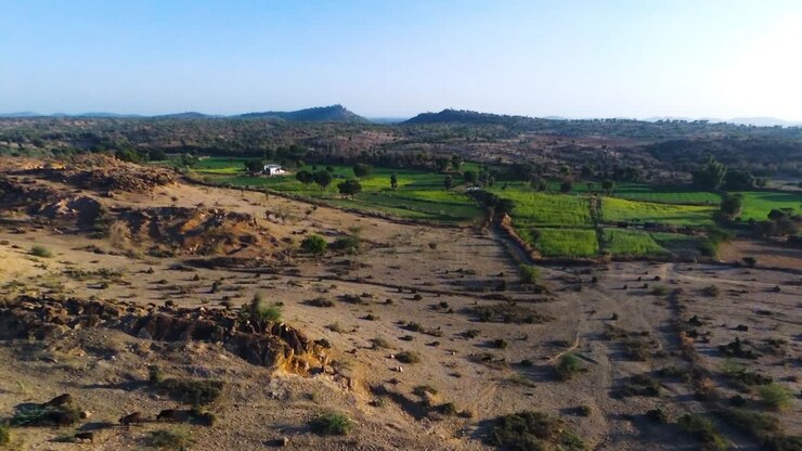 Campi coltivati in un paesaggio desertico, Rajasthan in India