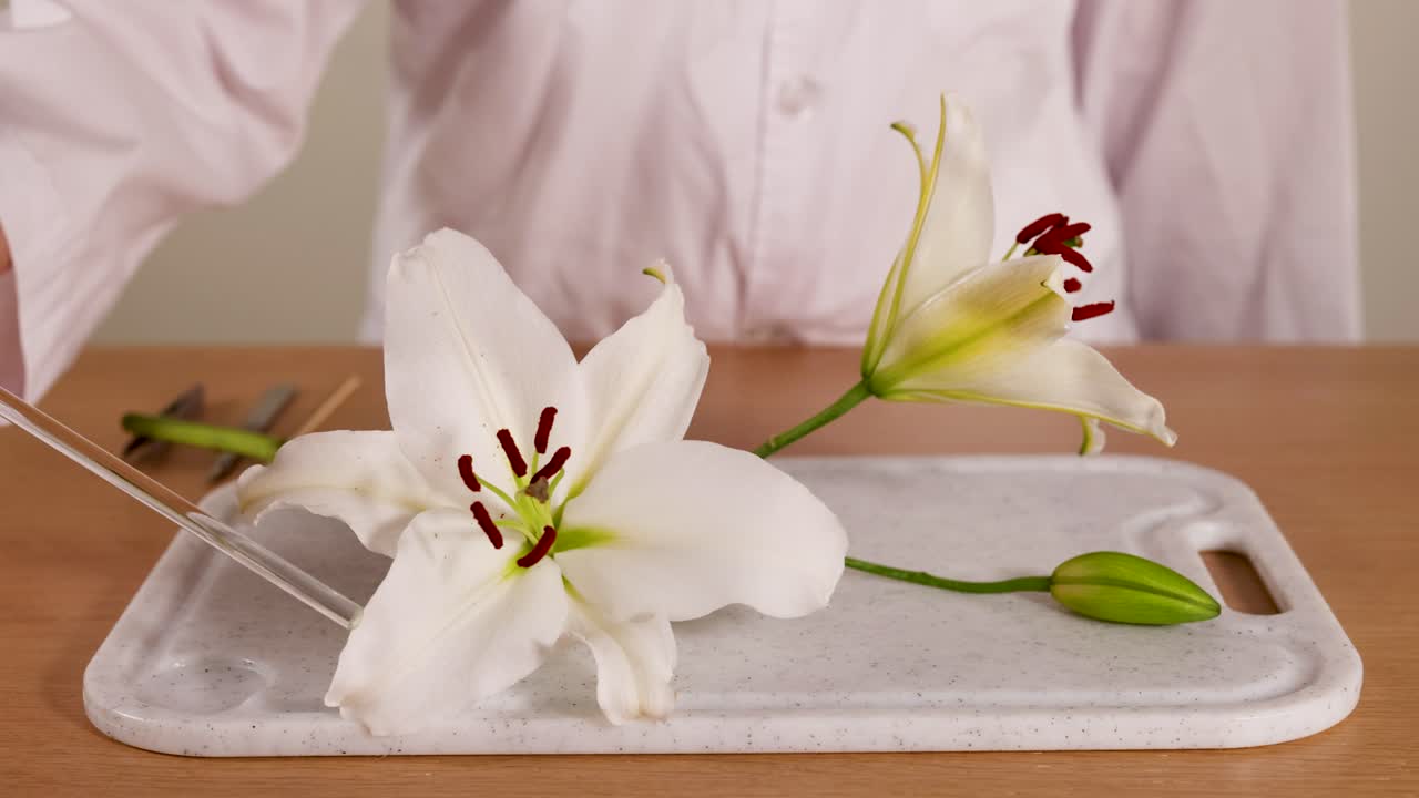 A scientist in a lab coat examines a lily flower using a glass rod, highlighting botanical study techniques