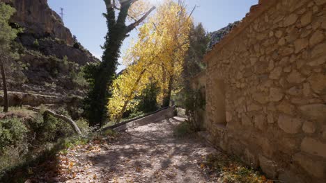 camino en el bosque mediterráneo con álamos, árboles, pasando cerca de una cabaña de piedra con hojas cayendo