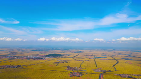 Luftaufnahmen-Von-Spektakulären-Riesigen-üppigen-Grünen-Reisfeldern-Und-Der-Landschaft-Des-Mutterlandes,-Gepflegten-Und-Schönen-Ernten