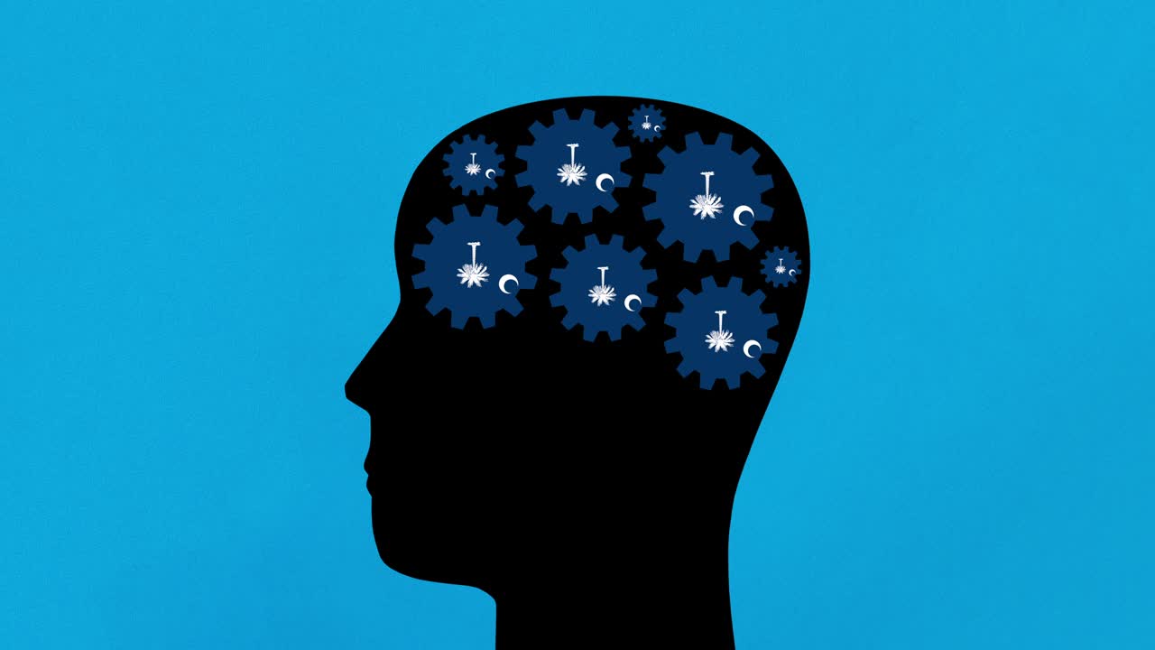 사우스 캐롤라이나 생각