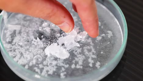 crystals forming in a science experiment