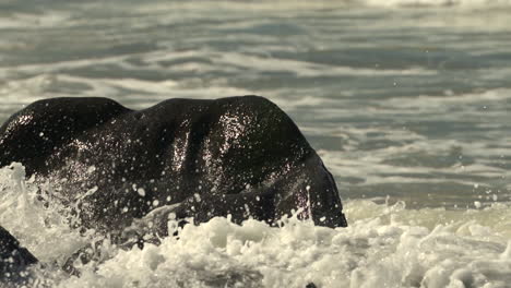 Slow-Motion-of-Rough-Ocean-Waves-Breaking-on-Rocks-on-Coast-120fps