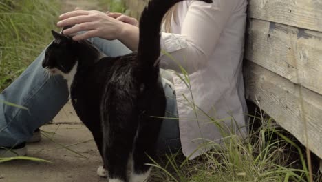 woman in garden makes friends with friendly black and white cat