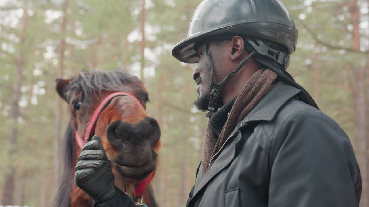 Темнокожий мужчина нежно прижимается к каштановой лошади; ухаживающий за лошадью человек в заснеженном загоне, красный недоуздок, деревянный забор и сосны на заднем плане, радостное выражение лица, тесный контакт, демонстрирующий комфорт и благополучие