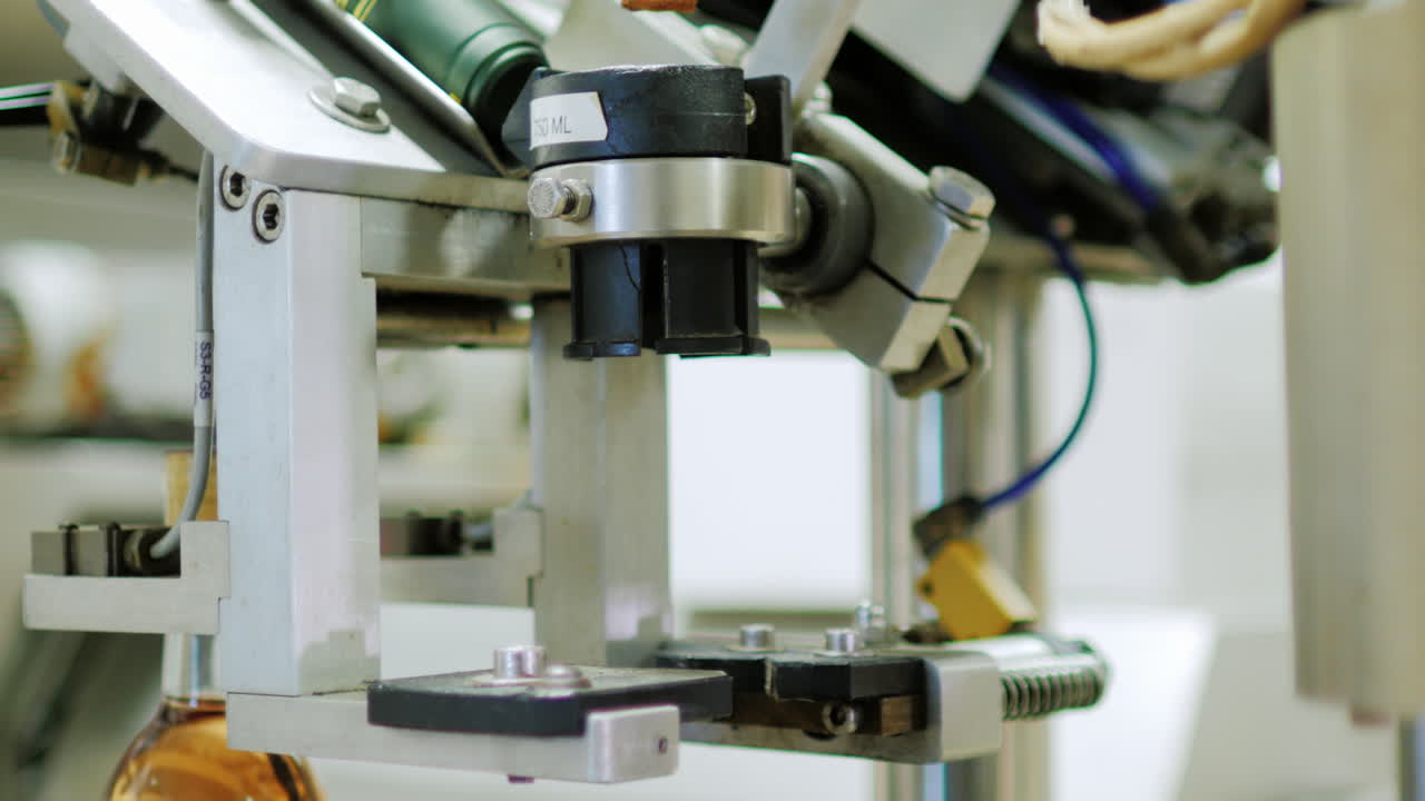 elaboración y embotellado de vino en una bodega 3