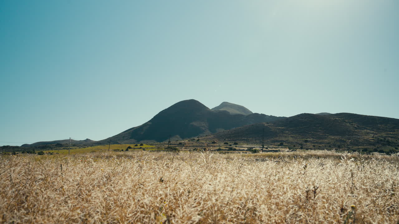 Ampia vista di un campo dorato e secco con montagne sullo sfondo sotto un cielo azzurro e limpido. Paesaggio mediterraneo minimale e pacifico, ideale per temi di viaggio, natura e stagionali.