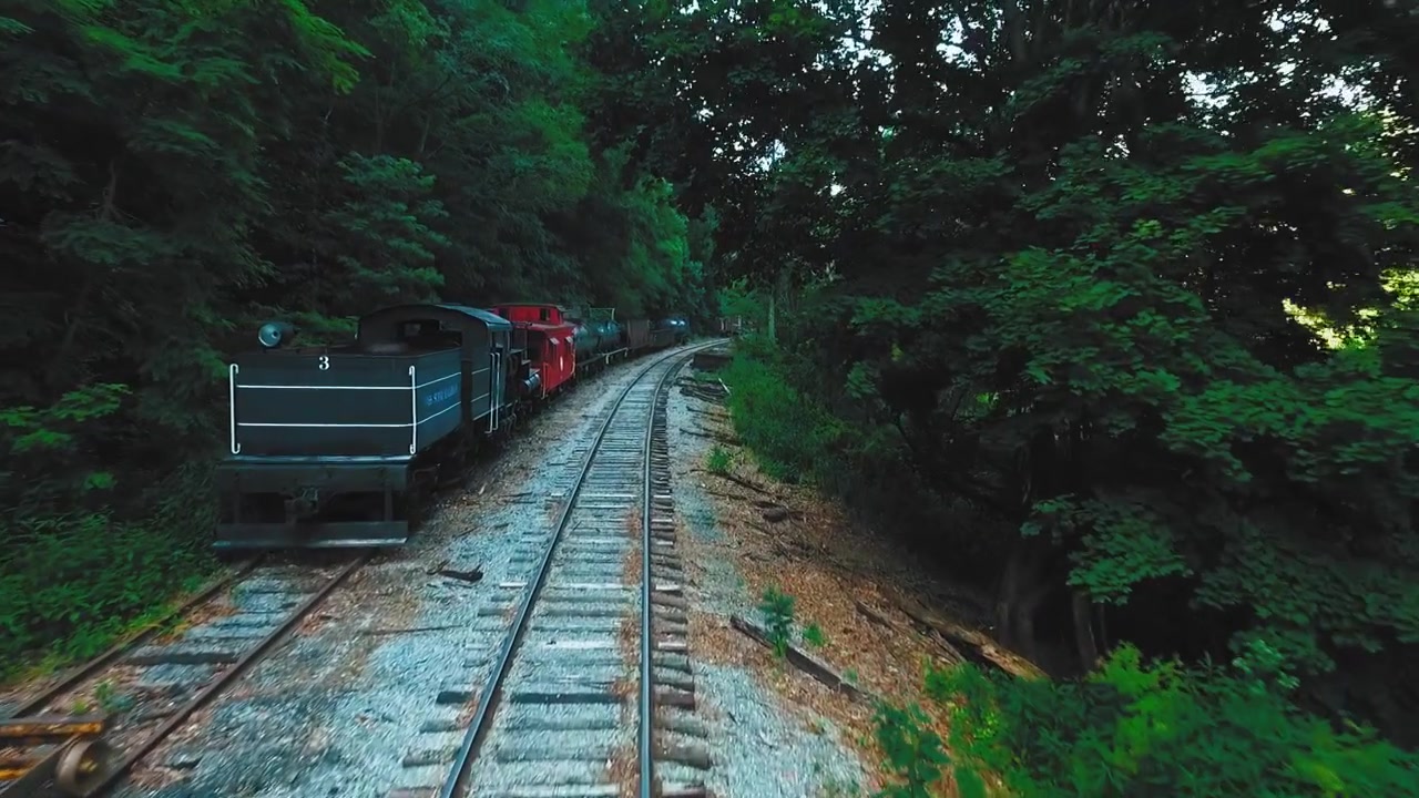 Drone, ripresa aerea a bassa quota, carrellata in avanti sui vecchi binari arrugginiti della Cass Scenic Railroad nel parco statale nazionale in West Virginia, vicino al fiume Greenbrier