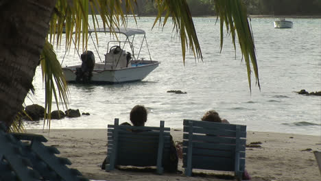 stock footage tropical island