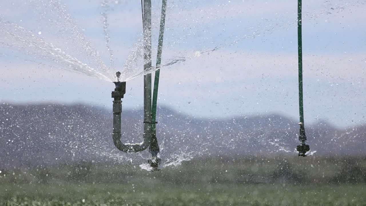 Ugelli irroratori rotanti irrigano un campo coltivato, dettaglio ravvicinato.